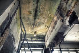 Best Commercial Mold Inspection in Saranac Lake, NY